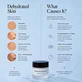 ELEMENTAL MOISTURE